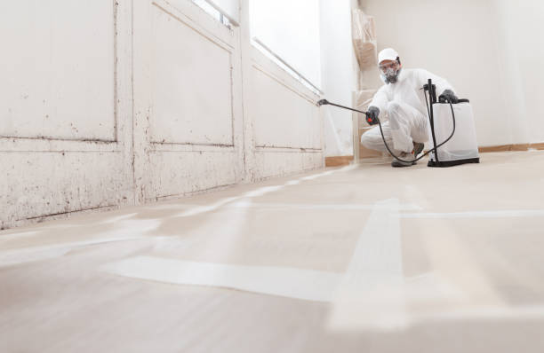 24/7 Emergency Crawl Space Mold Remediation experts in Columbus, GA